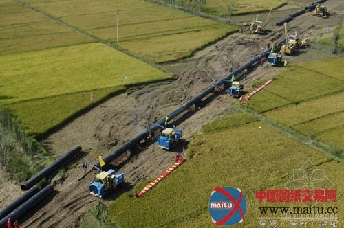 西气东输:“织网”天然气市场