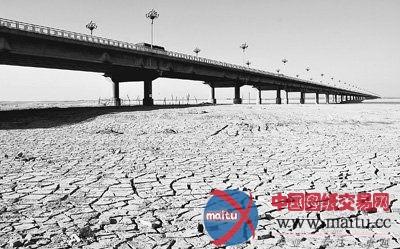 全国6039万亩作物遭受冬旱 220万人饮水困难