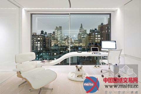 纽约公寓 画廊居所的完美结合