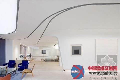 纽约公寓 画廊居所的完美结合