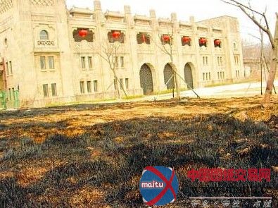 南京:游客随意扔烟头 公园内数百平米草地被烧焦