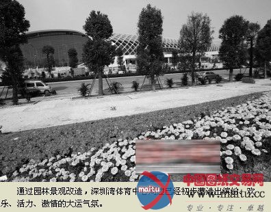 深圳湾体育中心周边景观提升基本完成