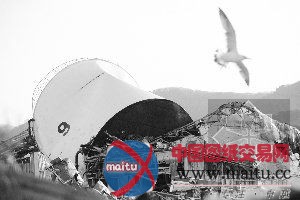 日核电站地下水超标1万倍 牛肉疑遭放射污染