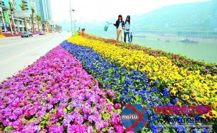 重庆:今明两年建25公园