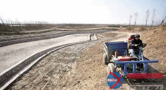 临港生态湿地公园已完成20万平方米基础施工