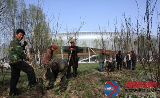 天津奥林匹克水上中心“第三滴水”竣工在即