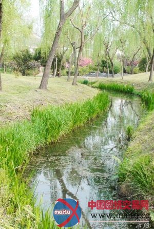 扬州:水岸绿化托出“滨水园林城”
