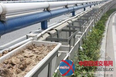 青岛:绿化景观盆招来“三只手”