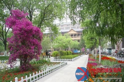 天津124年老公园变身英伦街区