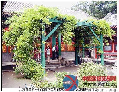 园林花架的选材和搭建要点一览