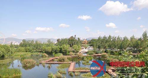 大观河多了“净化器”五家堆湿地公园可净化一半的河水