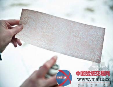 家居装饰DIY 好看的花卉纸包装瓶子