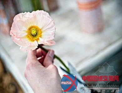 家居装饰DIY 好看的花卉纸包装瓶子