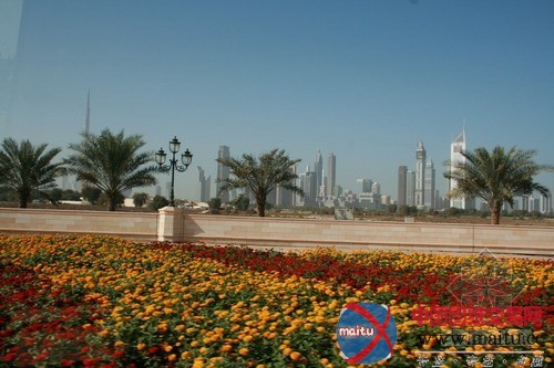 华太之旅——阿联酋迪拜建筑考察游记之二:迪拜城市面貌