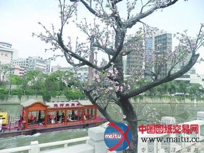 无锡运河边亮起“树形景观灯”