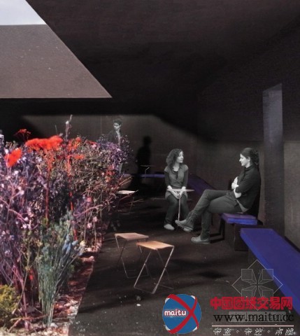 彼得·卒母托设计伦敦Serpentine展亭开始施工