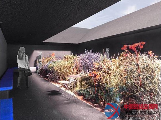 彼得·卒母托设计伦敦Serpentine展亭开始施工