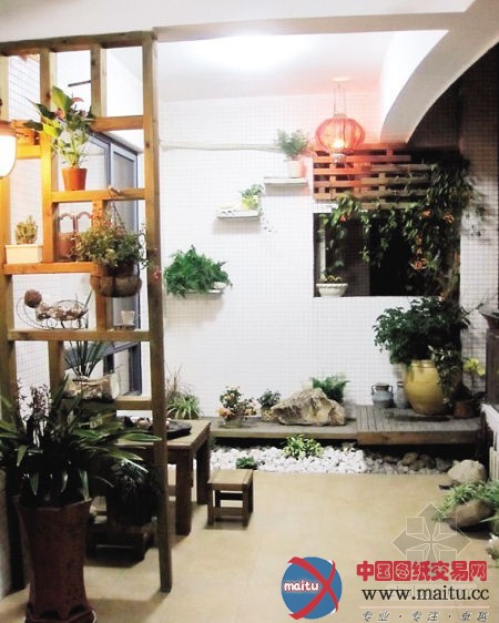 园林局发布《阳台绿化导则》