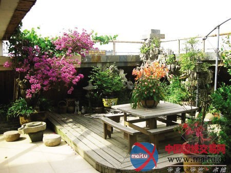 园林局发布《阳台绿化导则》