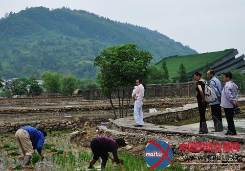 ��������̬�㳡�Ĳ��������������ÿ�����