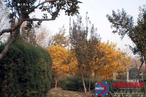 天津:南开公园改造工程全面完成对外开放