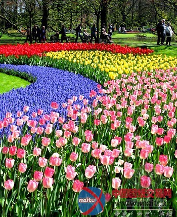 长春:花海营造北方“百花园”