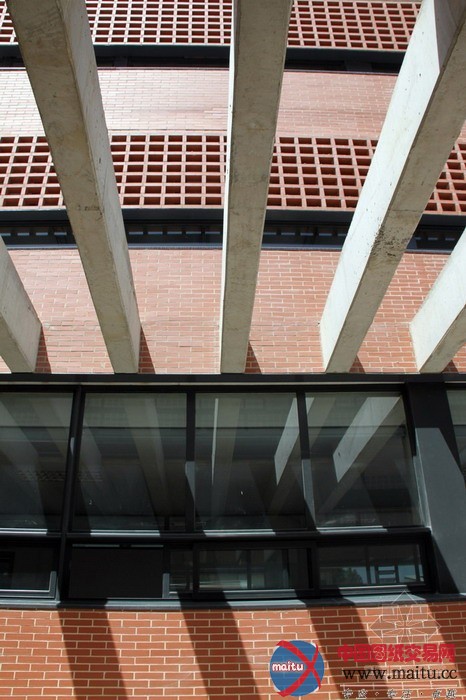 Fernandez Sole Rmonrabal设计的小学