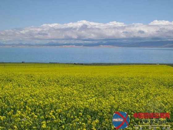 һ·һƷһ½ÖÒ»¾° Î÷ÄþÈ«ÃæÌáÉýµÀ·¾°¹Û