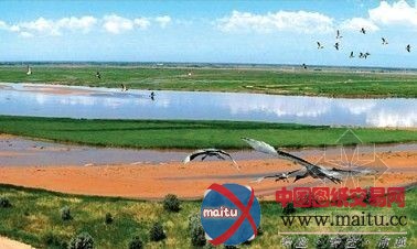 塞外奇景:宁夏黄沙古渡国家湿地公园