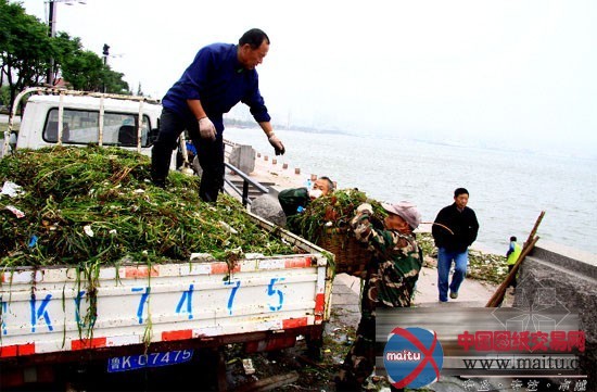 威海市园林部门为各大公园紧急“疗伤”