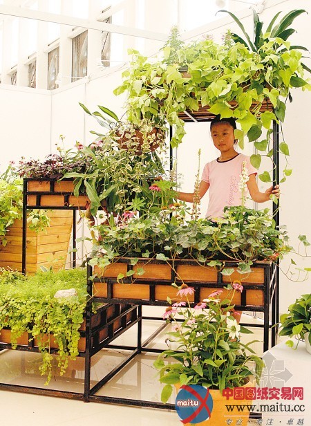 世园上演绿色夏日清凉派对