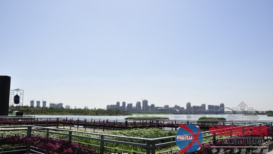 盘点世园会五大主题园艺景点