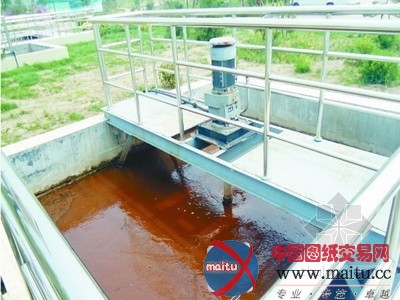 潍坊运用先进工艺净化污水 臭水处理后能养鱼