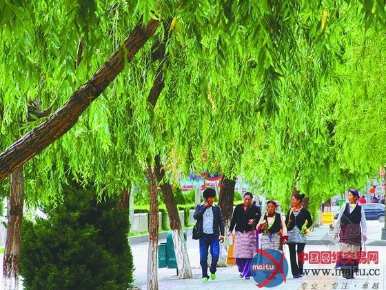 拉萨正积极准备创建国家生态园林城市