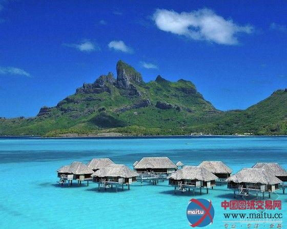 ��������ĺ���ˮ���õ� - 08062788 - 08062788�Ĳ���