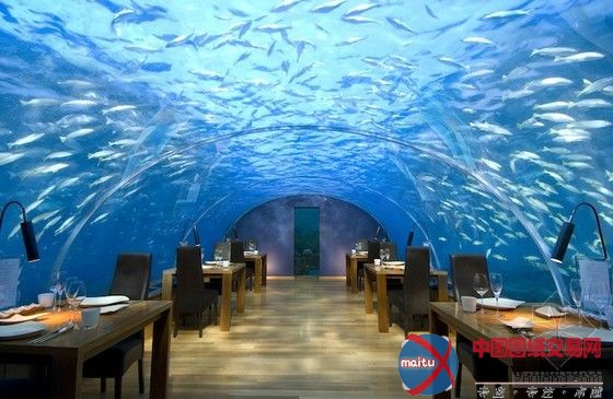 ��������ĺ���ˮ���õ� - 08062788 - 08062788�Ĳ���