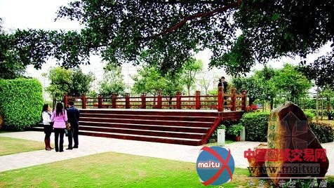 石化新城 特色景观