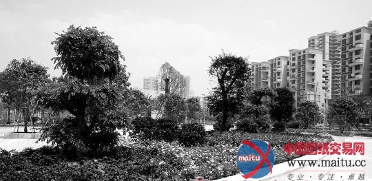 深圳西乡体育中心为大运“蝶变”