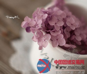 如何用植物营造好风水