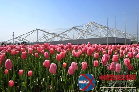 2011西安世界园艺博览会推介会杭州站今日举行