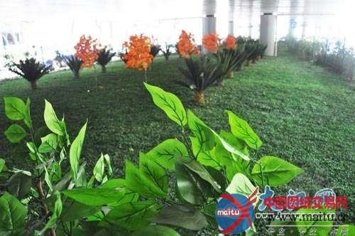 南昌八一大桥下惊现塑料绿化带