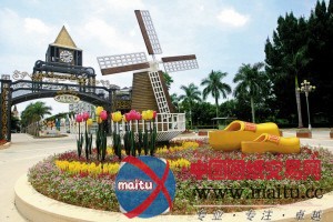 花鸟鱼虫市场变身荷兰风情街