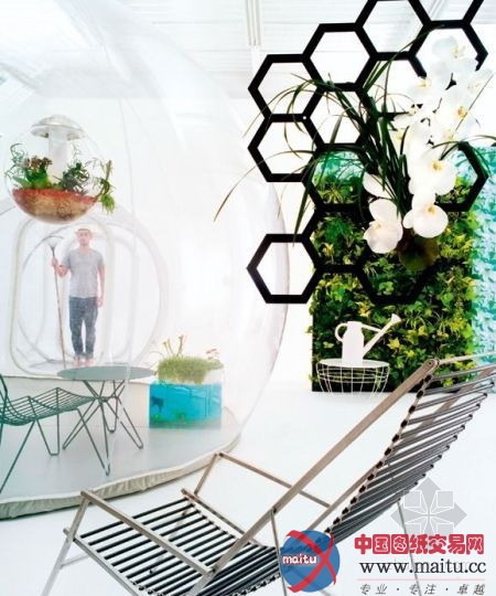 清凉一夏的住宅设计