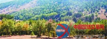 凌源三年改变百座荒山