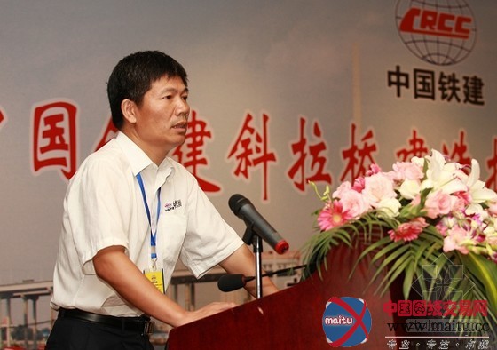 中国铁建斜拉桥技术观摩会在天津海河大桥举行