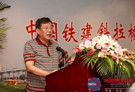 中国铁建斜拉桥技术观摩会在天津海河大桥举行