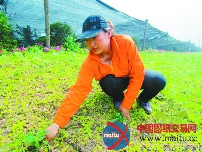 锦州怎么办好2013年世园会