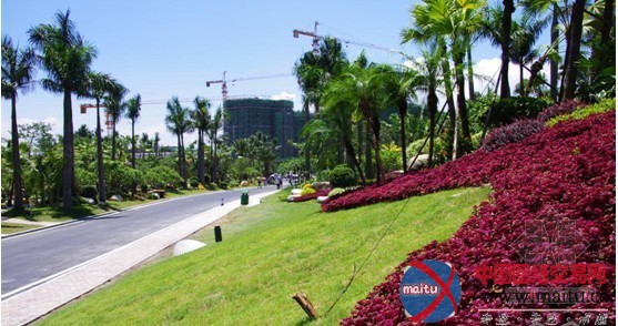 碧桂园•十里银滩园林景观震撼全国