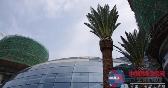 碧桂园•十里银滩园林景观震撼全国