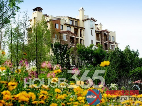 常州龙湖:17年园林筑造美学 大美筑园